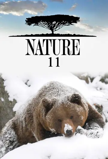 Сезон 11