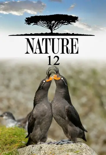 Сезон 12