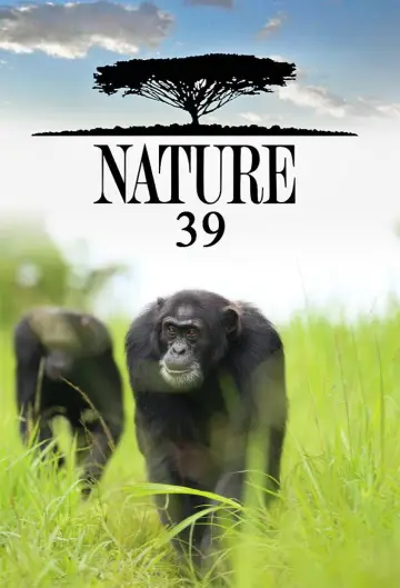 Сезон 39