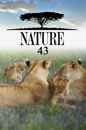 Сезон 43