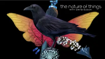 Задник до серіалу "The Nature of Things" #1343002
