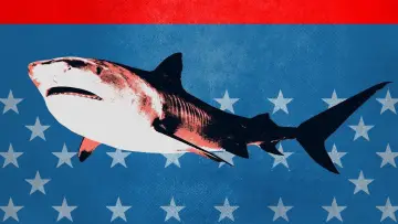 Задник до серіалу "Shark Week" #1362265