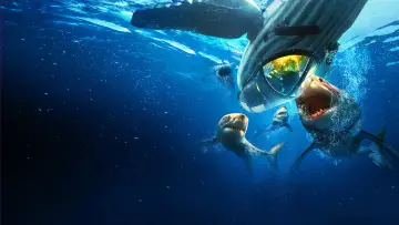 Задник до серіалу "Shark Week" #1362268