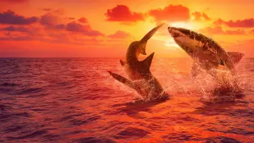 Задник до серіалу "Shark Week" #1362270