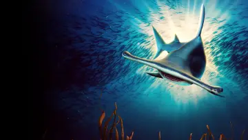 Задник до серіалу "Shark Week" #1362272