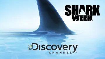 Задник до серіалу "Shark Week" #1362274