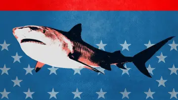 Задник до серіалу "Shark Week" #1362275