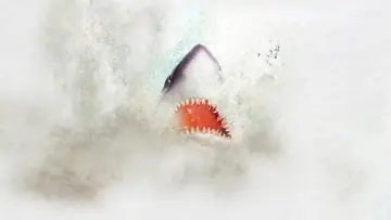 Задник до серіалу "Shark Week" #1362277