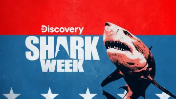 Задник до серіалу "Shark Week" #1362279