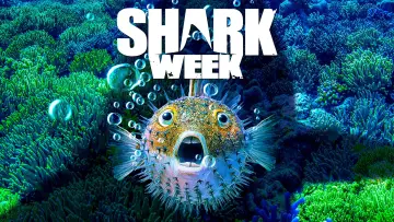 Задник до серіалу "Shark Week" #1362280