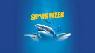 Задник до серіалу "Shark Week" #1362284