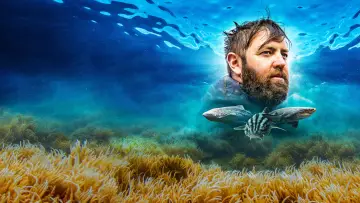 Задник до серіалу "Shark Week" #1362287