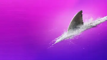 Задник до серіалу "Shark Week" #1362288