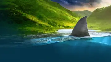 Задник до серіалу "Shark Week" #1362292