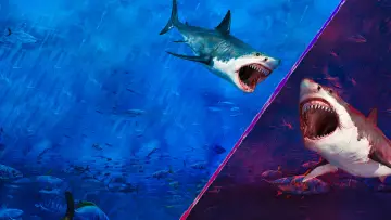 Задник до серіалу "Shark Week" #1362293