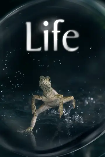 Життя (2009)