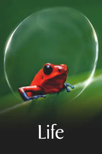 Постер к сериалу "Життя" #1455298