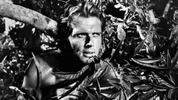 Задник до серіалу "Tarzan" #1345679