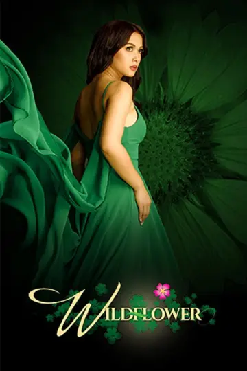 Wildflower постер