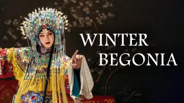 Задник до серіалу "鬓边不是海棠红" #1432871