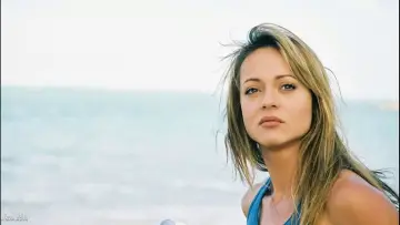 Задник до серіалу "В
