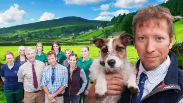 Задник к сериалу "The Yorkshire Vet" #1444115