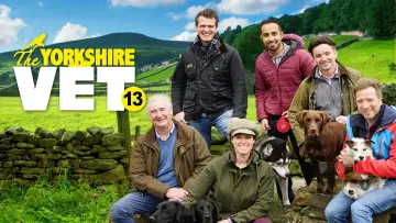 Задник к сериалу "The Yorkshire Vet" #1444116