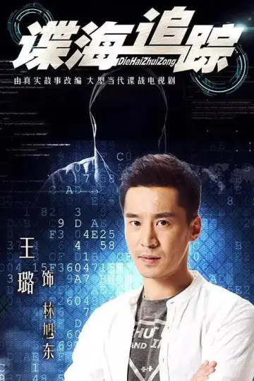 谍海追踪 постер