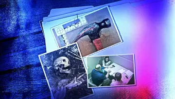 Задник до серіалу "Справи вбивць" #1494901