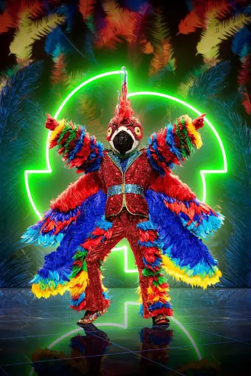 Постер до серіалу "The Masked Singer" #1794827