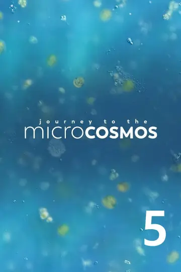 Сезон 5