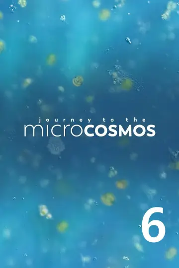 Сезон 6