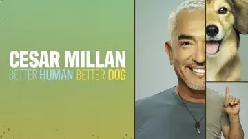Задник до серіалу "Cesar Millan: Better Human, Better Dog" #1488565