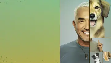 Задник до серіалу "Cesar Millan: Better Human, Better Dog" #1488567