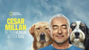 Задник до серіалу "Cesar Millan: Better Human, Better Dog" #1488570