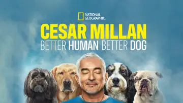 Задник до серіалу "Cesar Millan: Better Human, Better Dog" #1488571