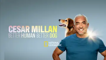 Задник до серіалу "Cesar Millan: Better Human, Better Dog" #1488573