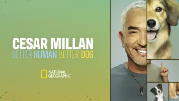 Задник до серіалу "Cesar Millan: Better Human, Better Dog" #1488574