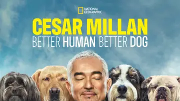 Задник до серіалу "Cesar Millan: Better Human, Better Dog" #1488575