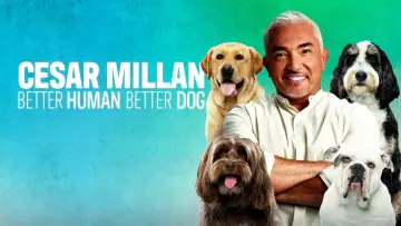 Задник до серіалу "Cesar Millan: Better Human, Better Dog" #1488577