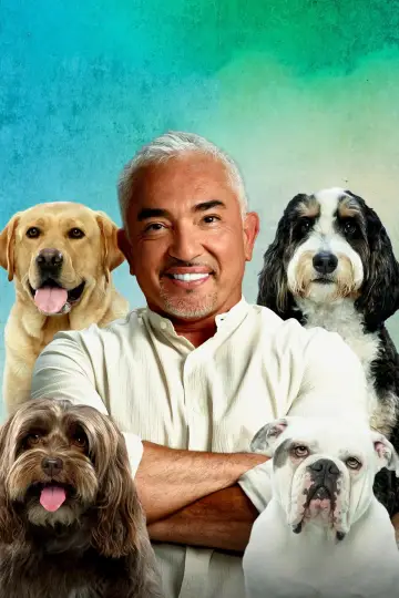 Постер до серіалу "Cesar Millan: Better Human, Better Dog" #1488591
