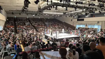 Задник до серіалу "Зірковість на Stardom World" #1219085