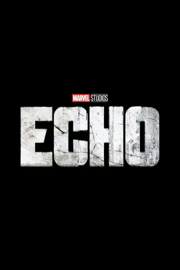 Постер до серіалу "Ехо" #1392340