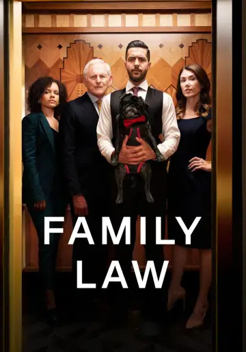 Постер до серіалу "Family Law" #1395606