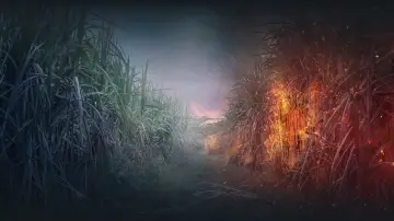 Задник до серіалу "Reyka" #1868350