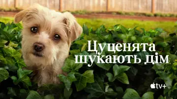 Задник до серіалу "Цуценята шукають дім" #1430296