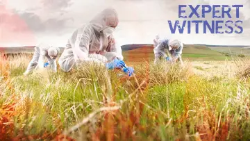 Задник до серіалу "Expert Witness" #1602507