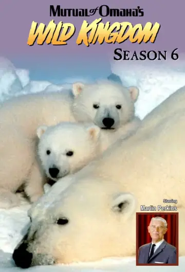 Сезон 6