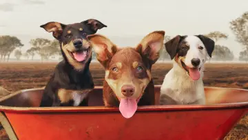 Задник до серіалу "Muster Dogs" #1609055