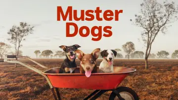 Задник до серіалу "Muster Dogs" #1609056